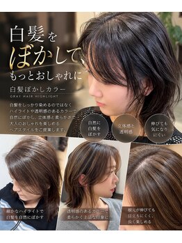 エメ(aimer)の写真/30～50代の白髪のお悩み解決♪ダメージレスで艶のあるオイルカラーを使った白髪ぼかしが人気！