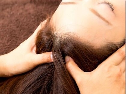 ヘア ウイングの写真