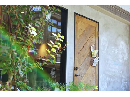 チェーロ(cielo)の写真