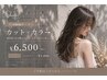 【平日限定クーポン☆】カット＋カラー(リタッチ)＋2stepトリートメント￥6500