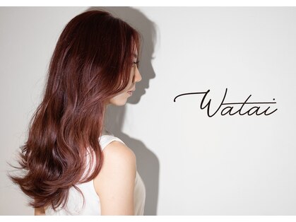 ワタイ(Watai)の写真