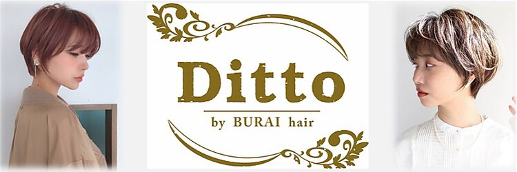 ディト(Ditto)のサロンヘッダー