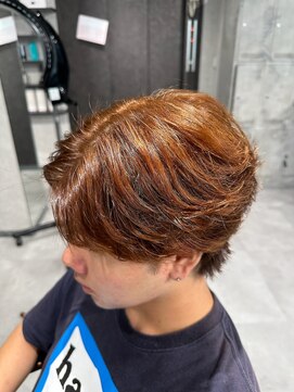 ネクストゼロ(NEXT zerO) 毛流れセンターパート ブラウンメッシュ