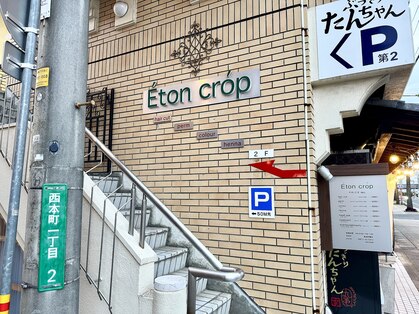 イートンクロップ(Eton crop)の写真