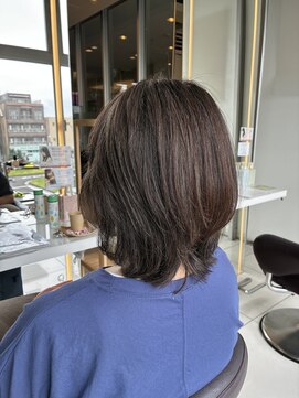フィッツ(Fits) ナチュラルグレイカラー