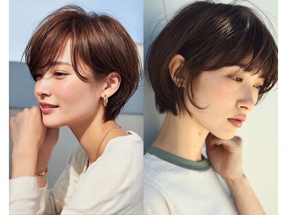 メルバ(Melva)の写真