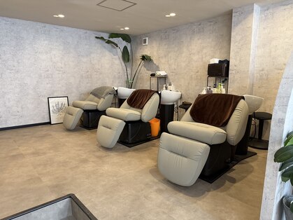 ギャロ(Gallo)の写真