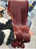 wine led color 【saki 】