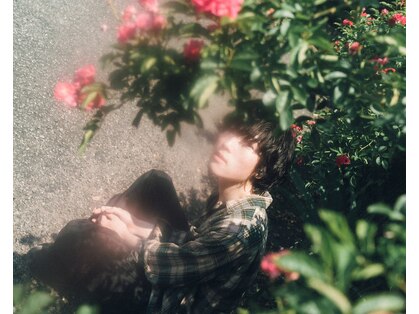 ナロ(narro)の写真