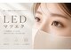 イト(ito)の写真