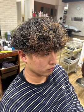 スイート(Suite) プードルパーマ