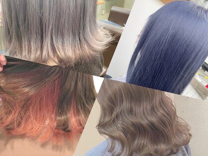キキ(kiki)の写真