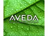 ●ＡＶＥＤＡオーガニックカラー+超音波STトリートメント+ドライ￥16060
