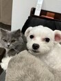 アルバム 銀座(ALBUM GINZA) 飼っているこむぎともずくはとっても可愛くて癒しです♪