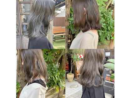 ミント(mint)の写真