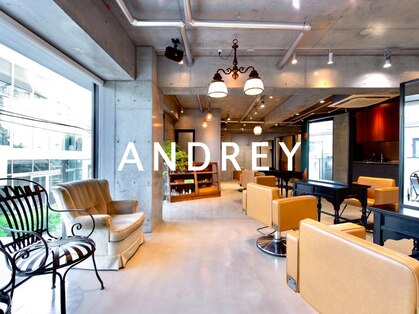 men's salon ANDREY表参道 メンズサロン/メンズカット/メンズパーマ/眉毛/MEN'Sの写真