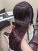 ラベンダーココアcolor