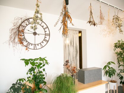 リブラ(Libra)の写真