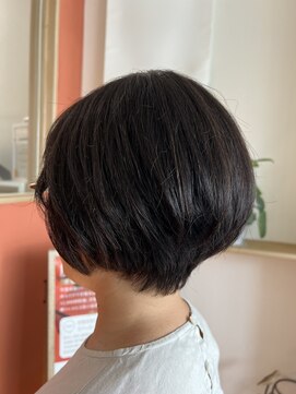 カシコ(cacico) シルキーカット