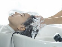 エデラ グランディ オーソ(edera Grandi-oso)