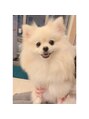 ヘアーサロン ソシエ 二子玉川店 愛犬を飼っていて一緒に遊ぶのが日課♪