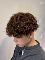 リンダ(LYNDA)&nbsp;プードルスパイラル/ブラウンアッシュ/メンズショート