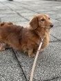 リアンズ(Lien's) 愛犬家です。休日はいつも一緒にお出かけです。