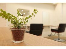 Sac.のこだわりの居心地の良いサロン時間をご堪能ください♪［田町芝浦］