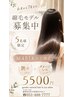 【Jrスタイリスト】 ♪縮毛矯正♪ 先着2名様限定!! / 5500