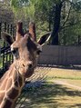 ジプソ(Gypso)&nbsp;キリンのつぶらな目が好きです！