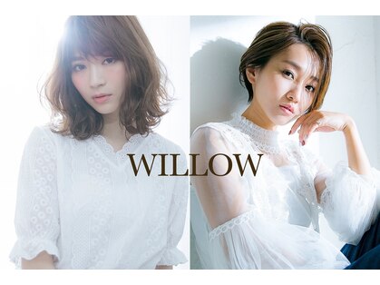 ウィロー(WILLOW)の写真