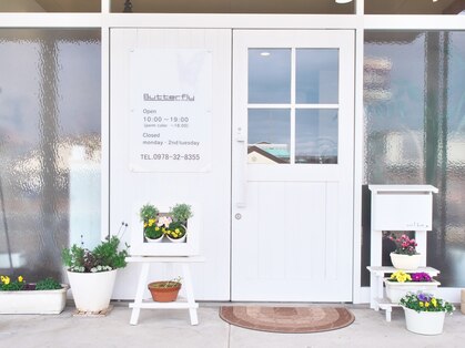 バタフライ(Butterfly)の写真