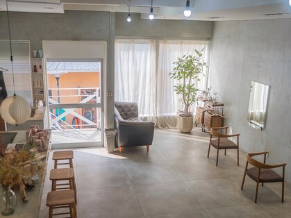 ミント(mint)の写真