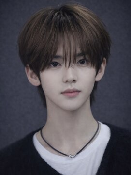 ローグ(ROGUE) シースルーマッシュ