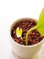 アルテミス(Artemis)&nbsp;植物を育てています。