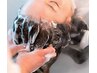 【カラーと同時がおすすめ】グレイケアカラー＋酵素クレンジング（根元染め）