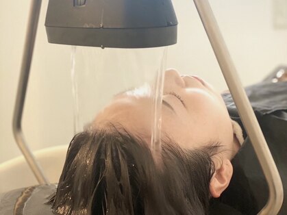 ルドヴィコ(Ludovico)の写真