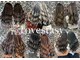 ラブスタシー 水戸店の写真