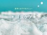 【夏季限定☆頭皮ケア】カット＋カラー＋プレTR＋クレンジングSB ￥6000