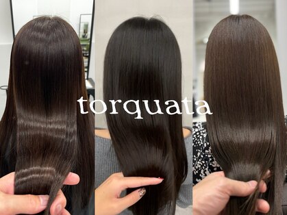 トルクアータ 伏見(torquata)の写真