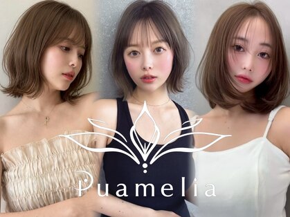 プアメリア 名古屋(Puamelia)の写真