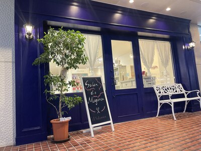 サロン ド マゼンタ(Salon de Magenta)