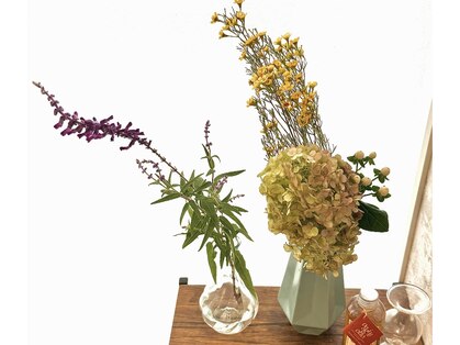 エミファ(emifa)の写真