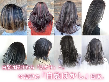 サロンズ フジサン 藤三広店(SALONS)の写真