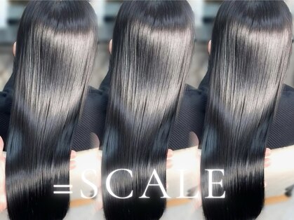 スケール(=SCALE)の写真