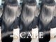 スケール(=SCALE)の写真