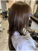 外はねセミディー