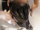 ブライズルームトウキョウ(brides room tokyo.)の写真/頭皮状態合わせて髪質改善/リフレッシュ/リフトUPもできるヘッドスパ。健康的な美髪へ導く特別な体験を。
