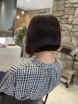 ポラリス(Polaris) ナチュラルブラウン