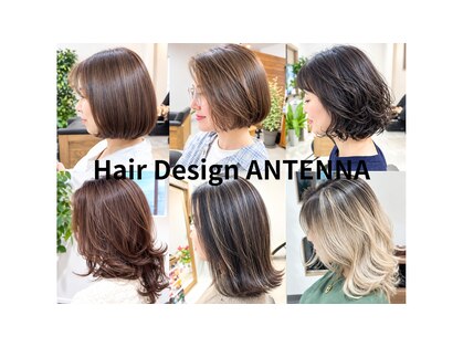 アンテナ(ANTENNA)の写真